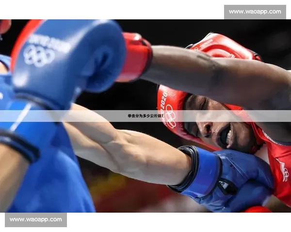 拳击比赛中的重量级划分详解及各级别选手的体重标准分析