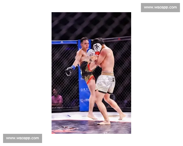 拳击赛场激战正酣 最新比赛结果揭晓 强者对决引发热议