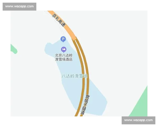 排球比赛区中心布局与优化策略探讨：提升竞技水平与观赛体验的创新方法