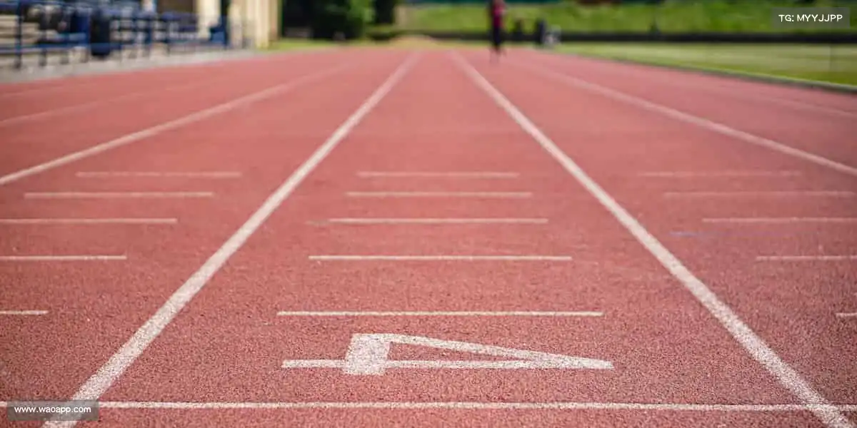 行业领先的理由